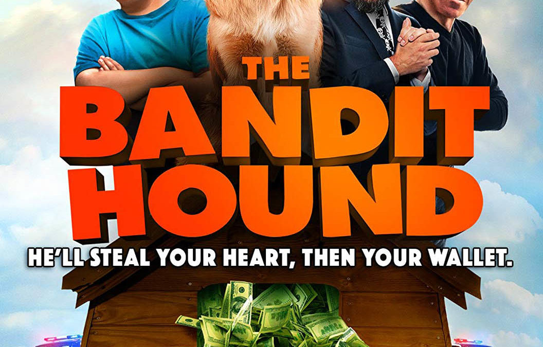 THE BANDIT HOUND